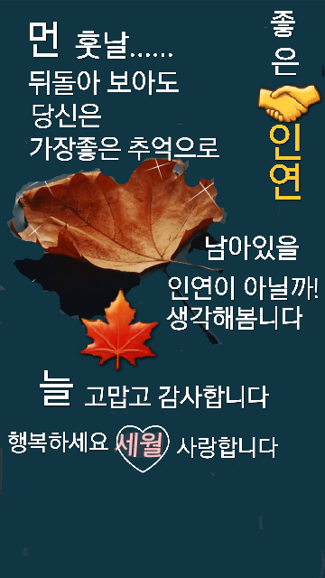 피드 이미지