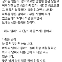 피드에 업로드 된 이미지