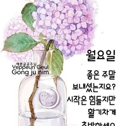 피드에 업로드 된 이미지