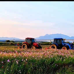 피드에 업로드 된 이미지