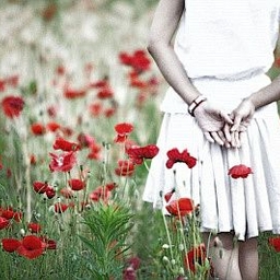 피드에 업로드 된 이미지