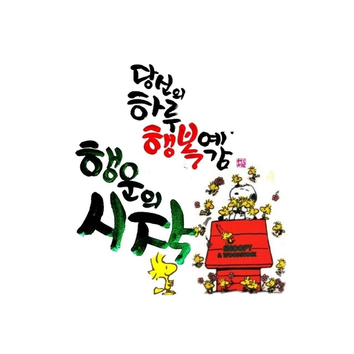 피드 이미지
