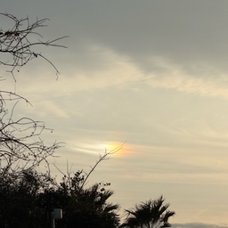 피드에 업로드 된 이미지