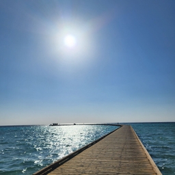 피드에 업로드 된 이미지