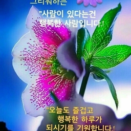 피드에 업로드 된 이미지