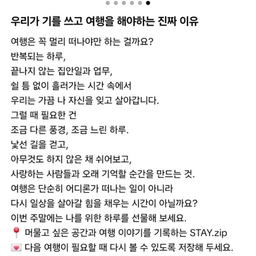 피드에 업로드 된 이미지