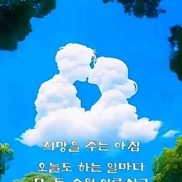 피드에 업로드 된 이미지