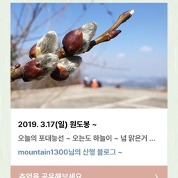 피드에 업로드 된 이미지