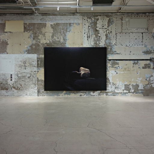 피드 이미지