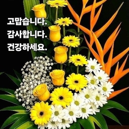 피드에 업로드 된 이미지