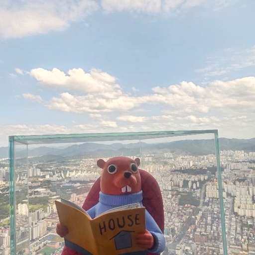 피드 이미지
