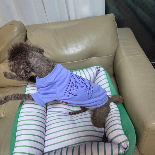 피드 이미지