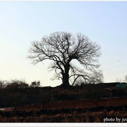 피드에 업로드 된 이미지