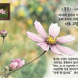 피드에 업로드 된 이미지