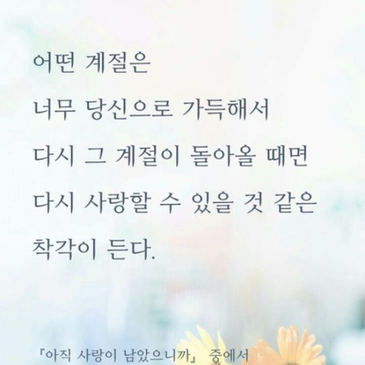 피드 이미지