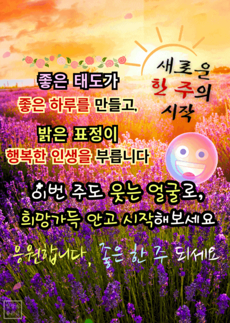 피드에 업로드 된 이미지