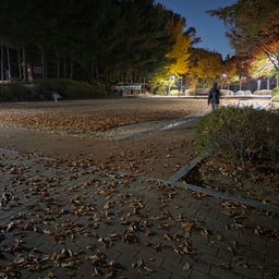 피드에 업로드 된 이미지