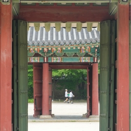 피드에 업로드 된 이미지
