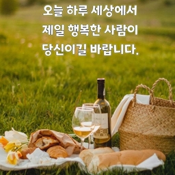 피드에 업로드 된 이미지