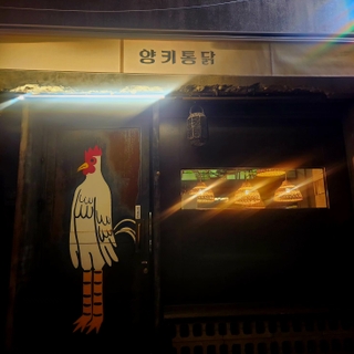 피드 이미지