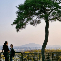 피드에 업로드 된 이미지