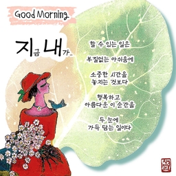 피드에 업로드 된 이미지