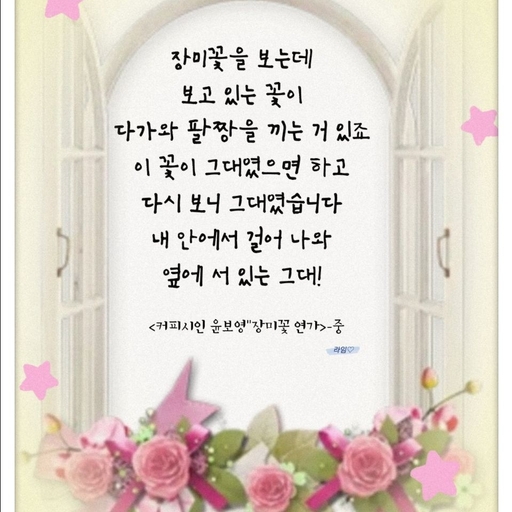 피드 이미지