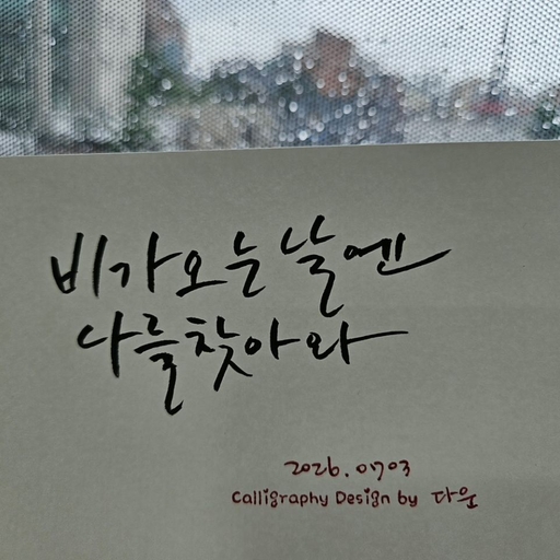 피드 이미지