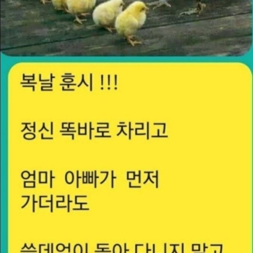 피드 이미지