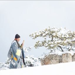 피드에 업로드 된 이미지