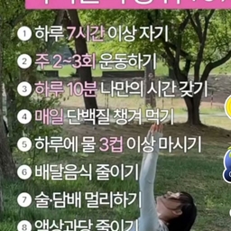 피드에 업로드 된 이미지