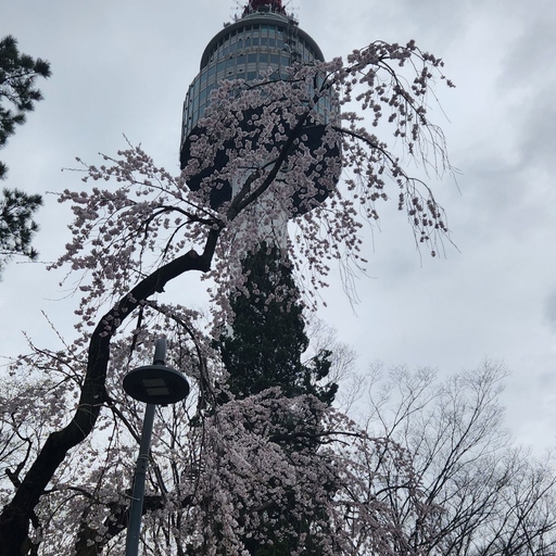 피드 이미지