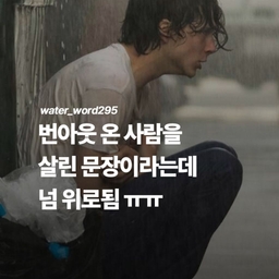 피드에 업로드 된 이미지