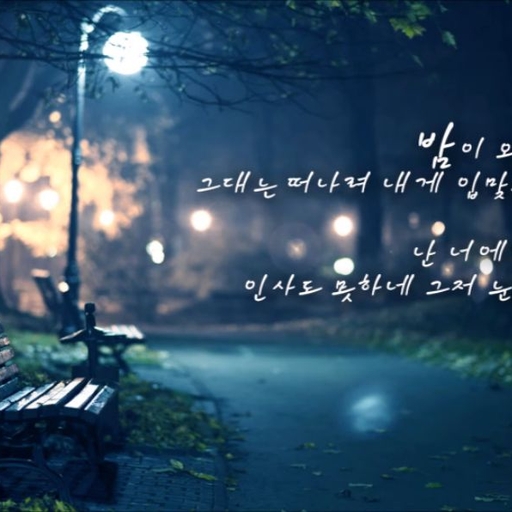피드 이미지