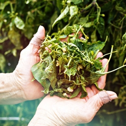 피드에 업로드 된 이미지