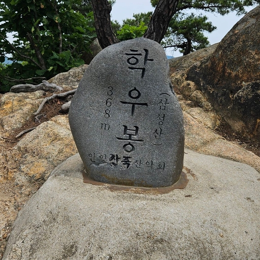 피드 이미지