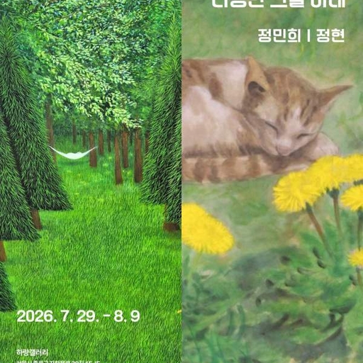 피드 이미지