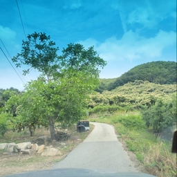 피드에 업로드 된 이미지