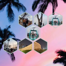 피드에 업로드 된 이미지