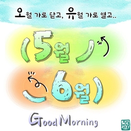 피드에 업로드 된 이미지