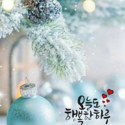 피드에 업로드 된 이미지