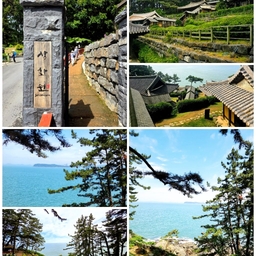 피드에 업로드 된 이미지