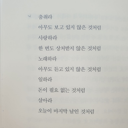 피드 이미지