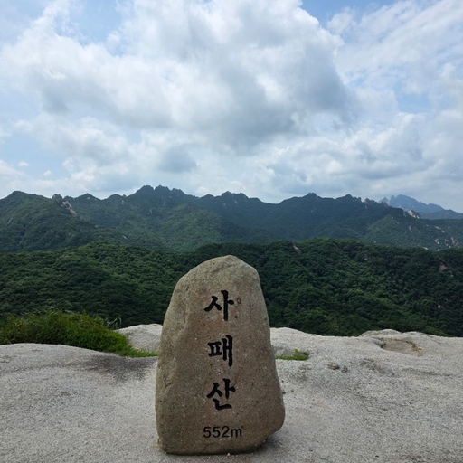 피드 이미지