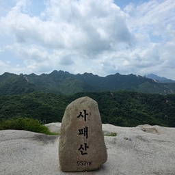 피드에 업로드 된 이미지