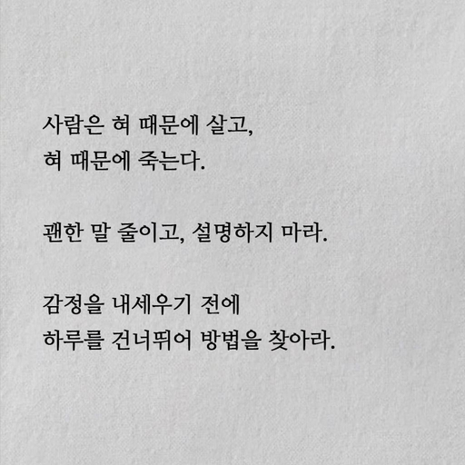 피드 이미지