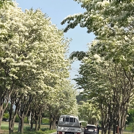 피드 이미지