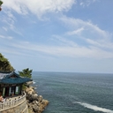 피드 작성자 프로필