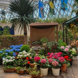 피드에 업로드 된 이미지