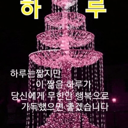 피드에 업로드 된 이미지